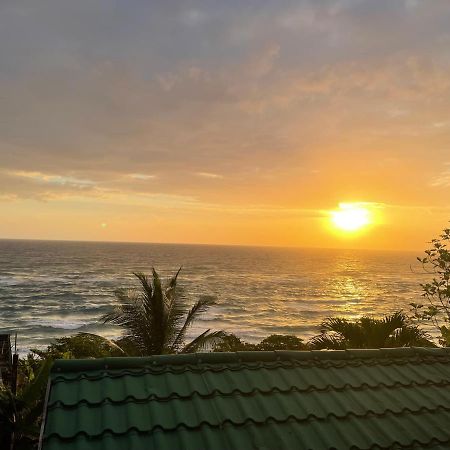 Villa Rasta - Ocean View Bungalows Port Antonio Extérieur photo