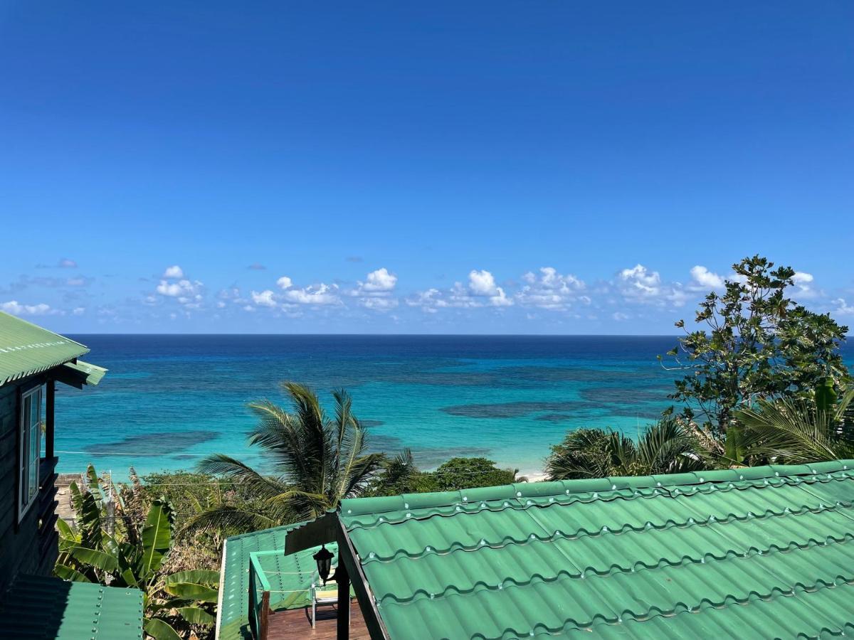 Villa Rasta - Ocean View Bungalows Port Antonio Extérieur photo