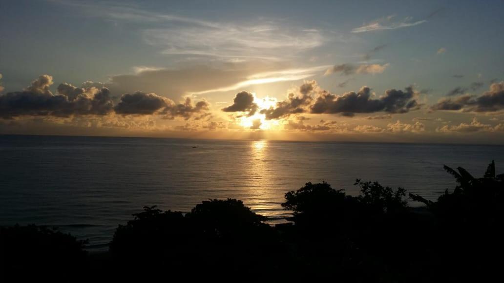 Villa Rasta - Ocean View Bungalows Port Antonio Extérieur photo